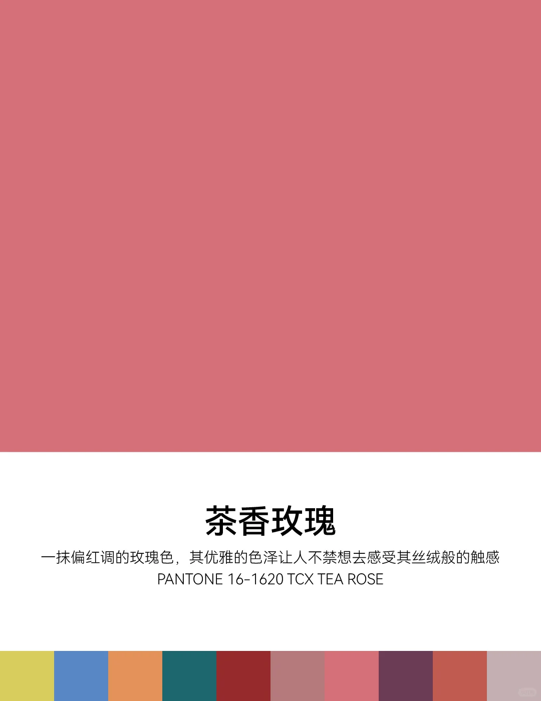 2026春夏纽约时装周PANTONE明装流行色