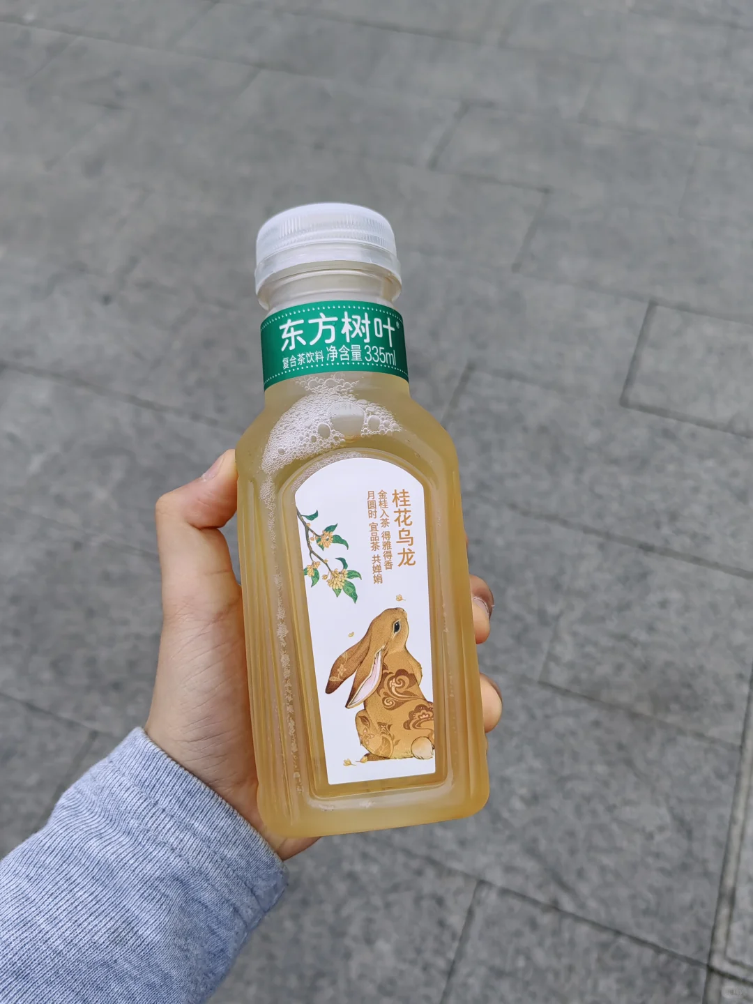 东方树叶这个超好喝