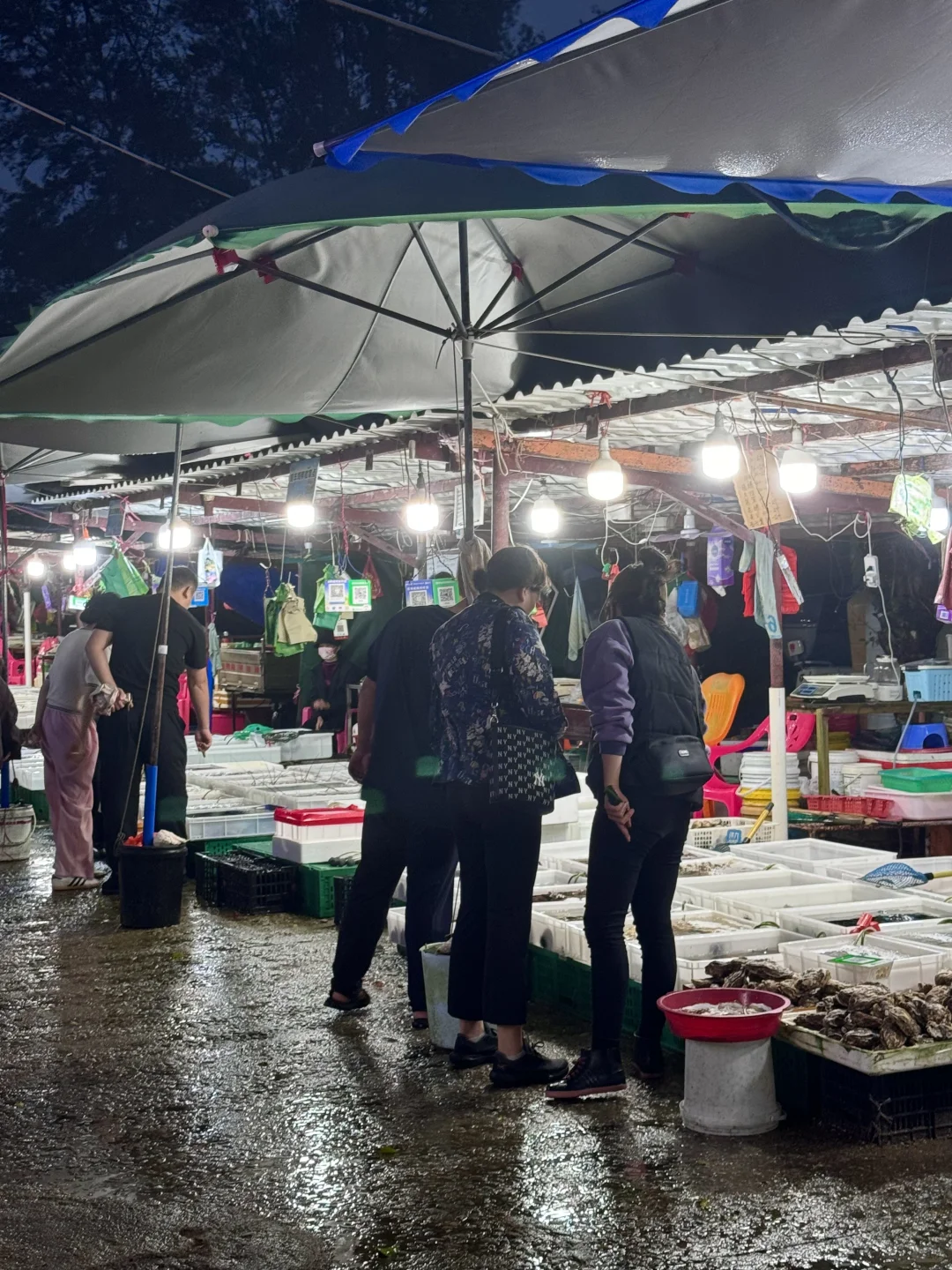 琼海潭门渔港|平价不踩雷+加工费只要13?