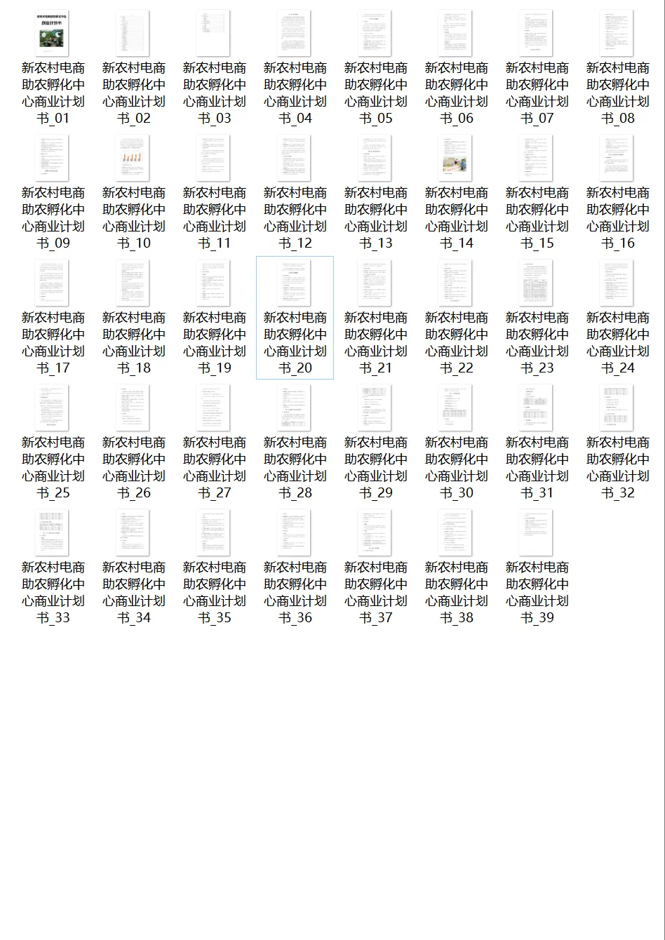 新农村电商助农孵化中心创业计划书