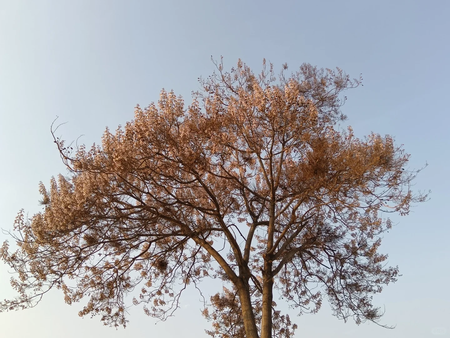 “千万工程”推进乡村振兴发展