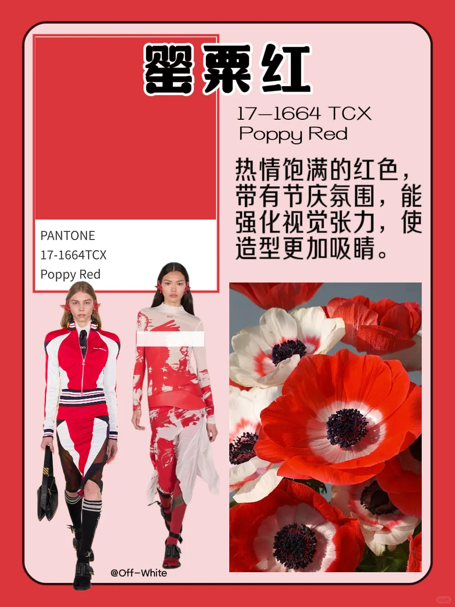 色彩流行趋势｜盘点2025秋冬流行色