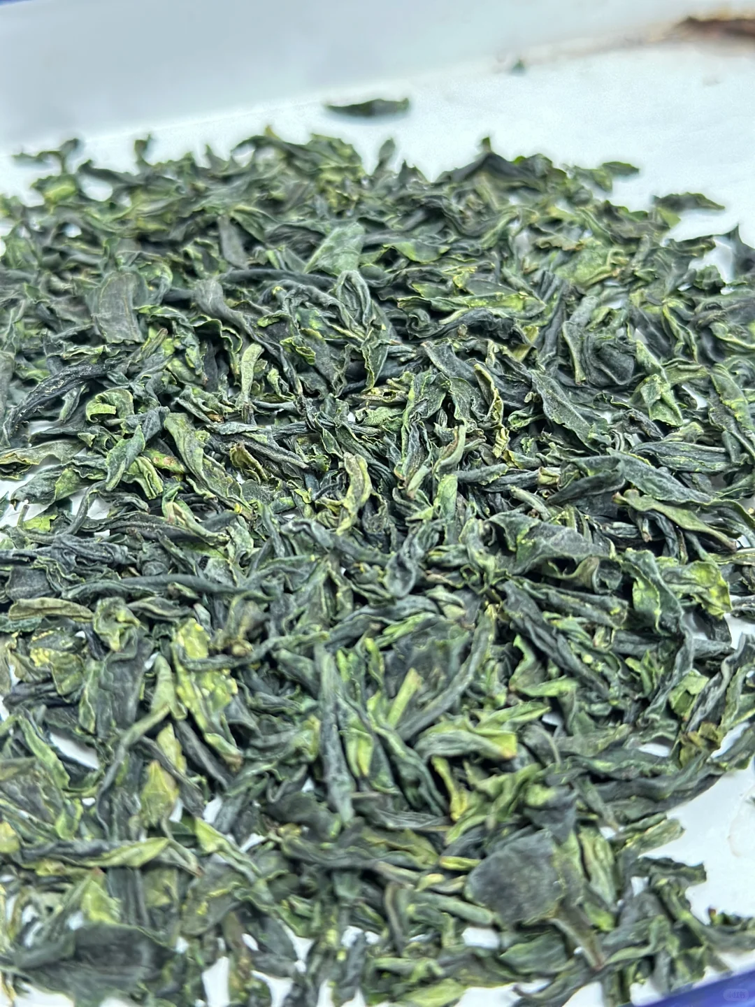 乡村振兴#六安瓜片