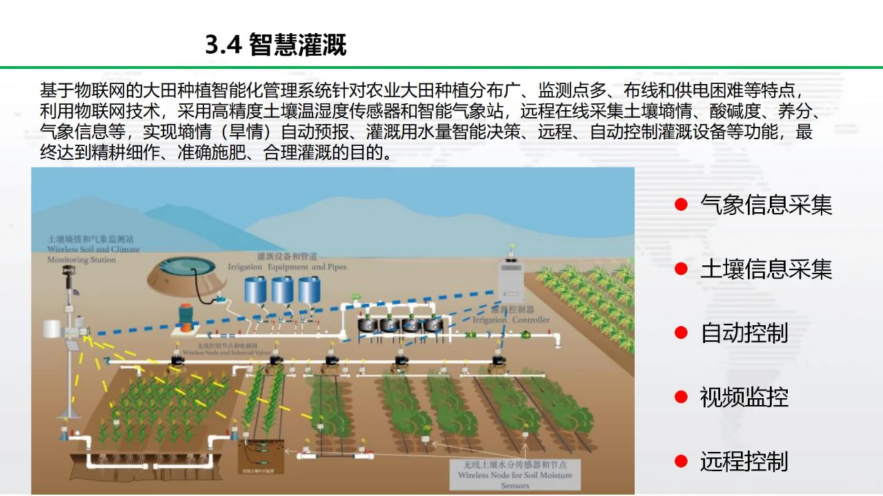 升级你的菜地:打造自动化可持续的智慧农业