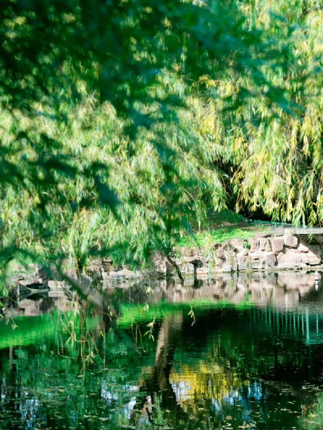 乡村振兴：绿色发展怎么做？ ?