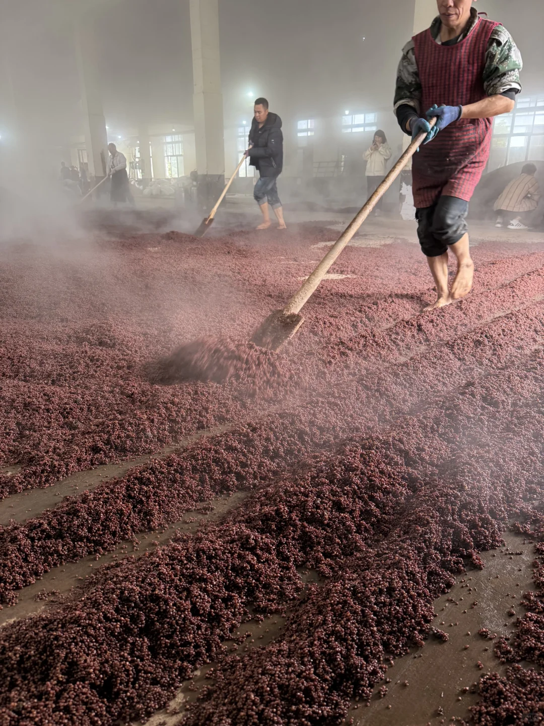 茅台镇的酱酒你真的了解吗？淘酒必看！