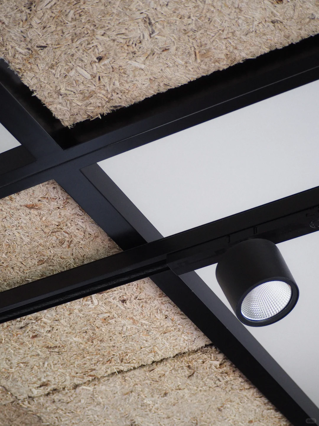 啤酒花藤蔓：源于土地，归于土地