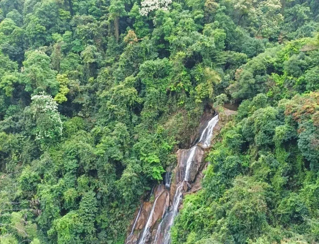 木塑板锯片