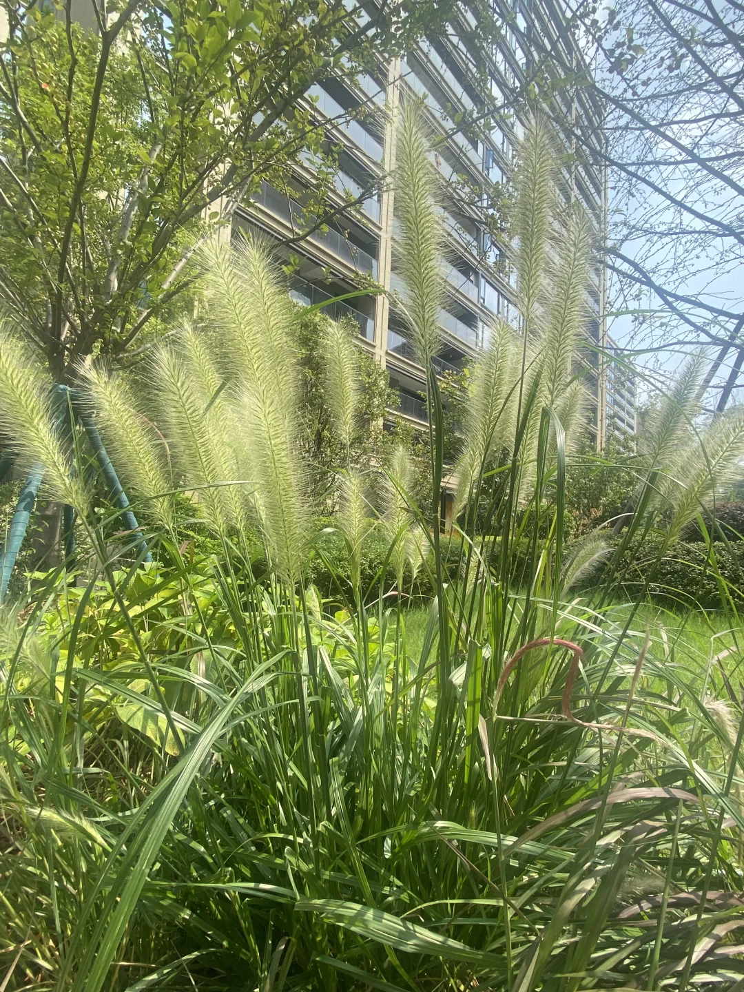 找园林、园艺、农业相关供应⬆️?