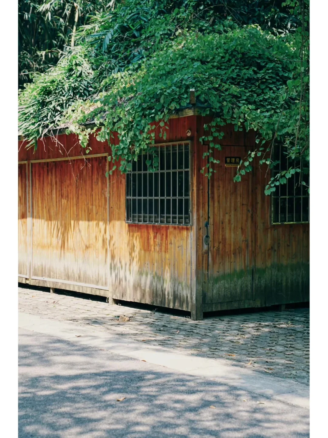 乡村振兴：绿色发展怎么做？ ?