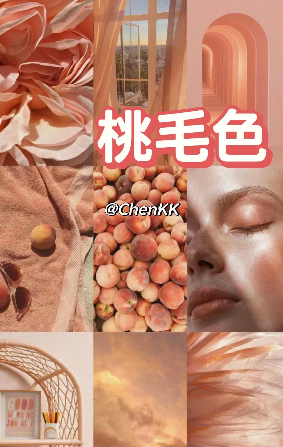 ?2024春夏流行色‼️赶快收藏起来吧‼️?