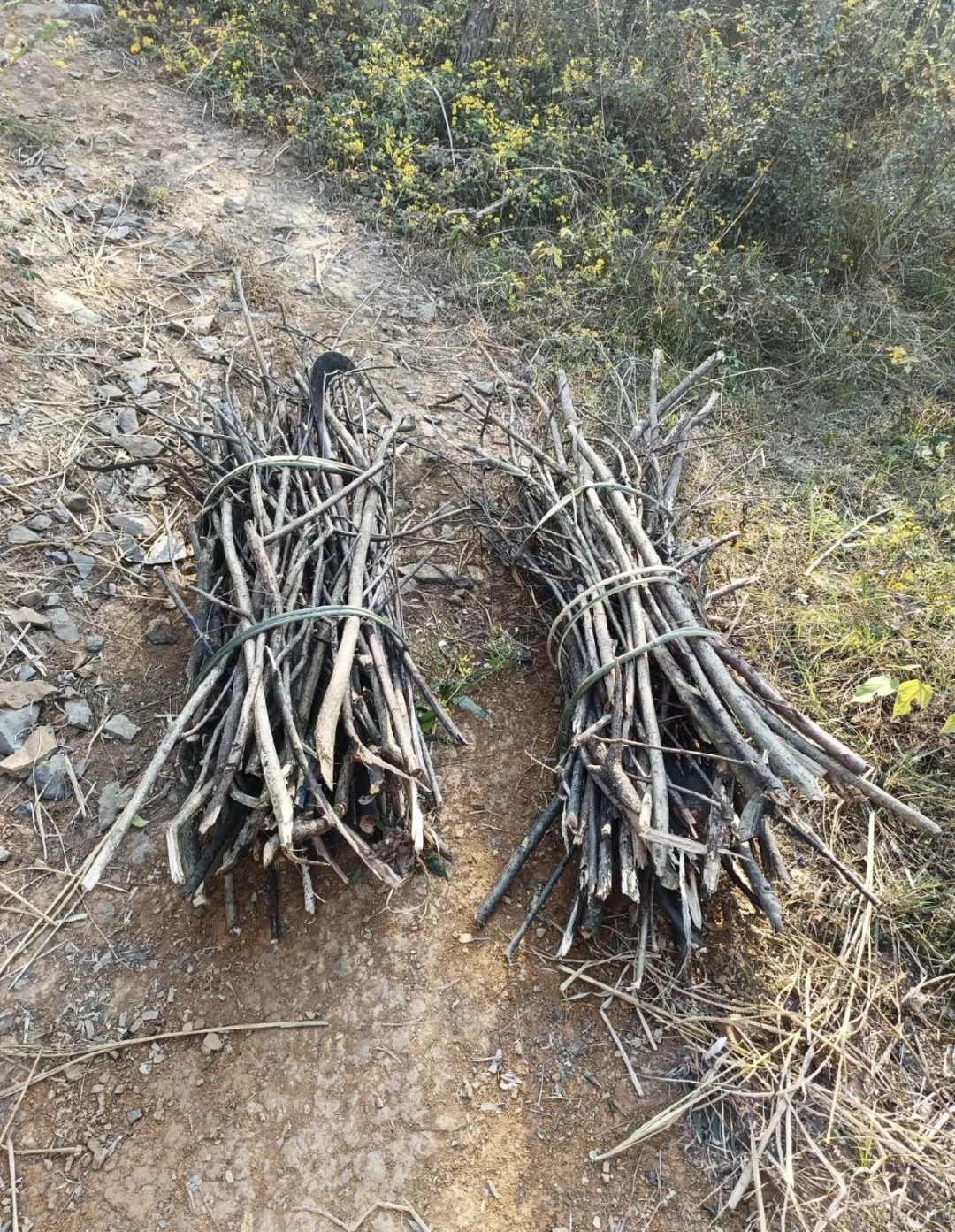 农村总有干不完的活