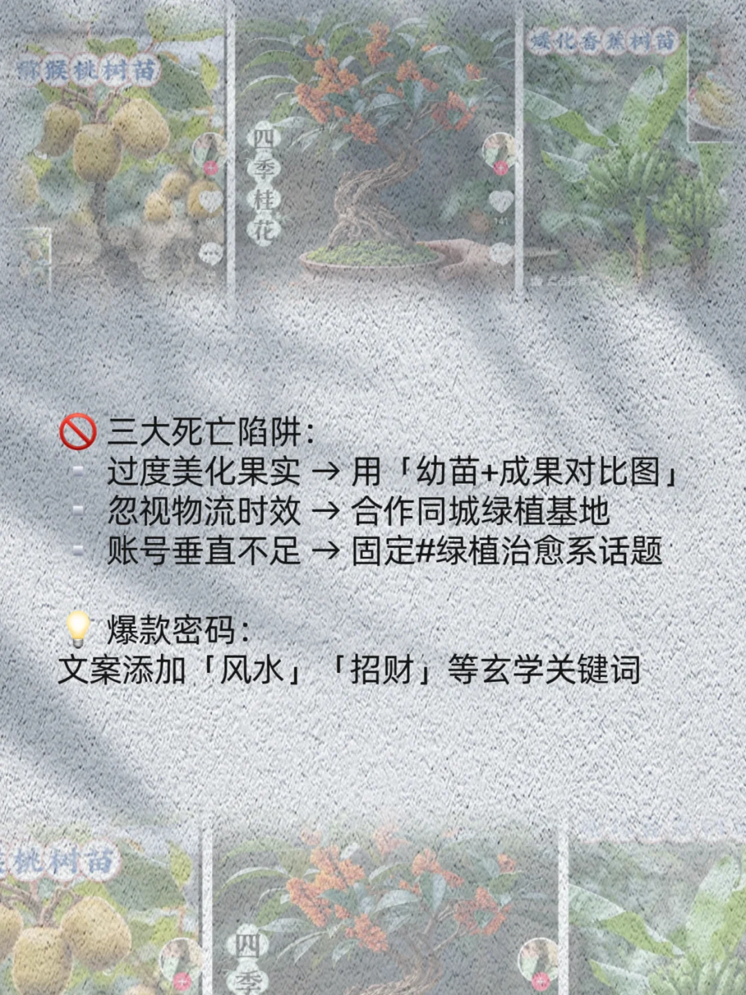 ?「AI绿植爆款赛道」周销破千单? 三