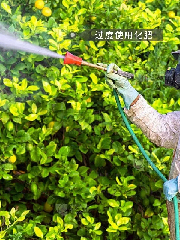 好农庄怎么开5⃣️|共同创建美好未来