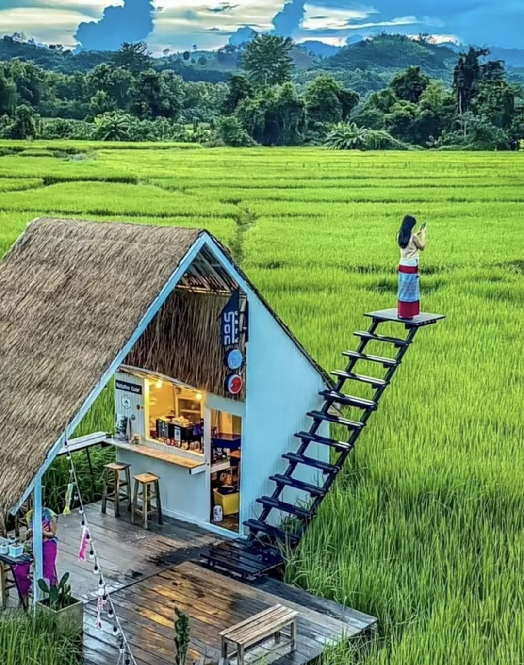 逃离城市，去乡下躺平??