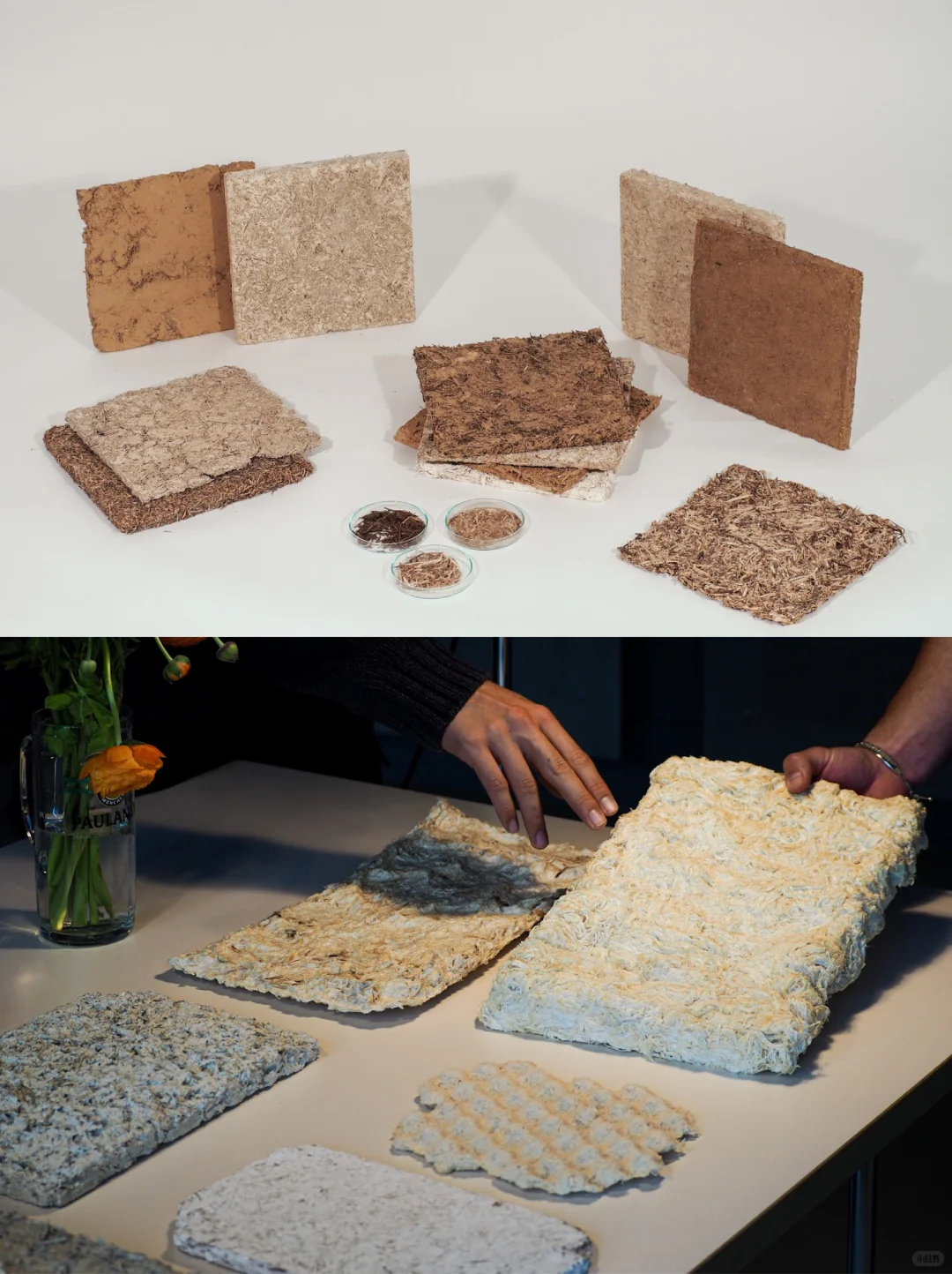 啤酒花藤蔓：源于土地，归于土地