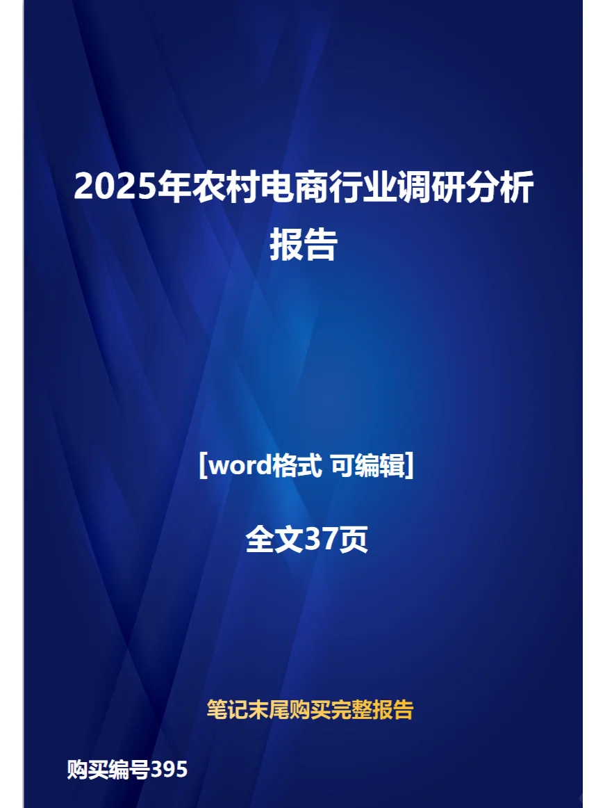 2025年农村电商行业调研分析报告