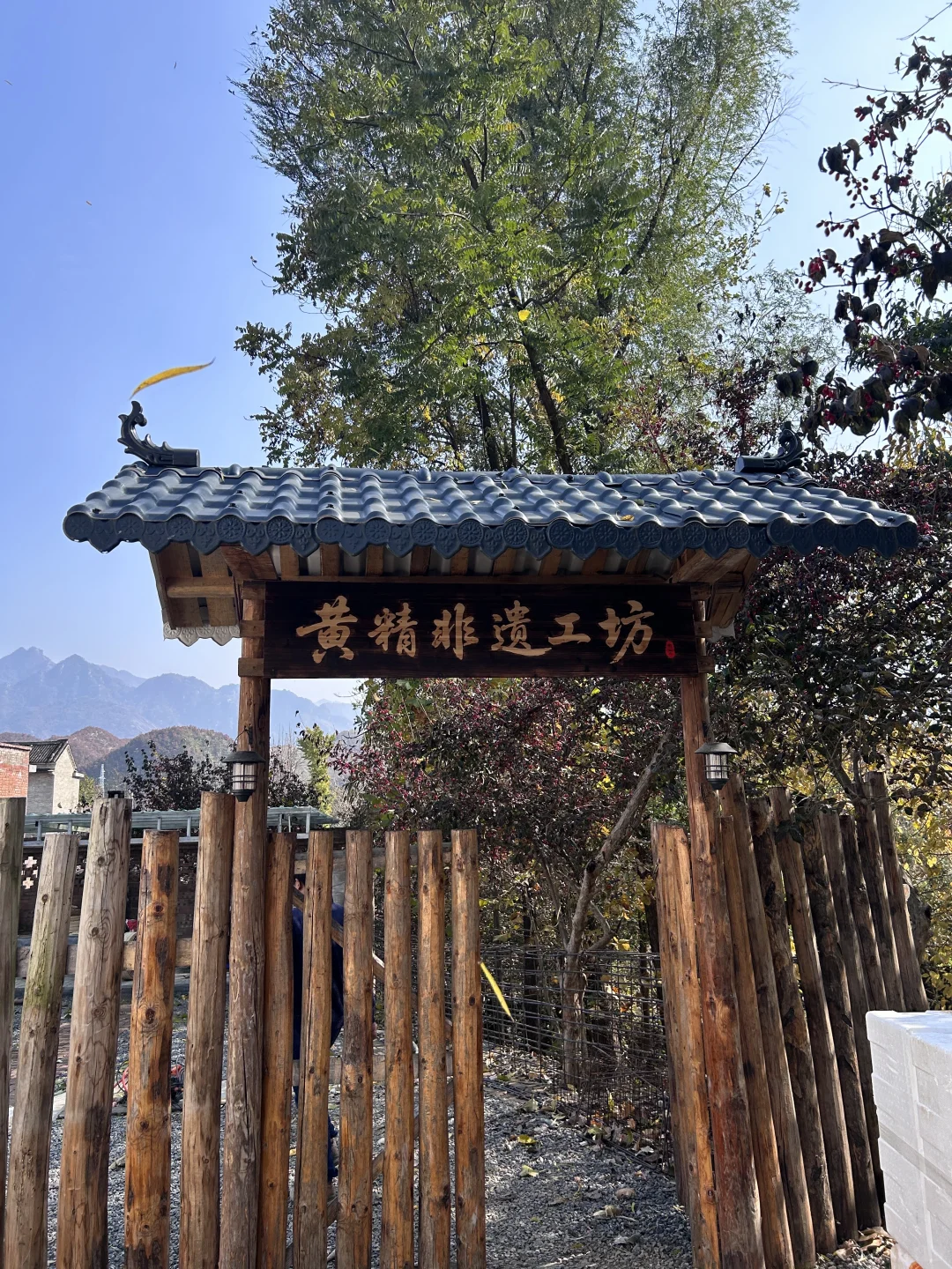 洛阳｜非遗传承人找到九蒸九晒晒场啦