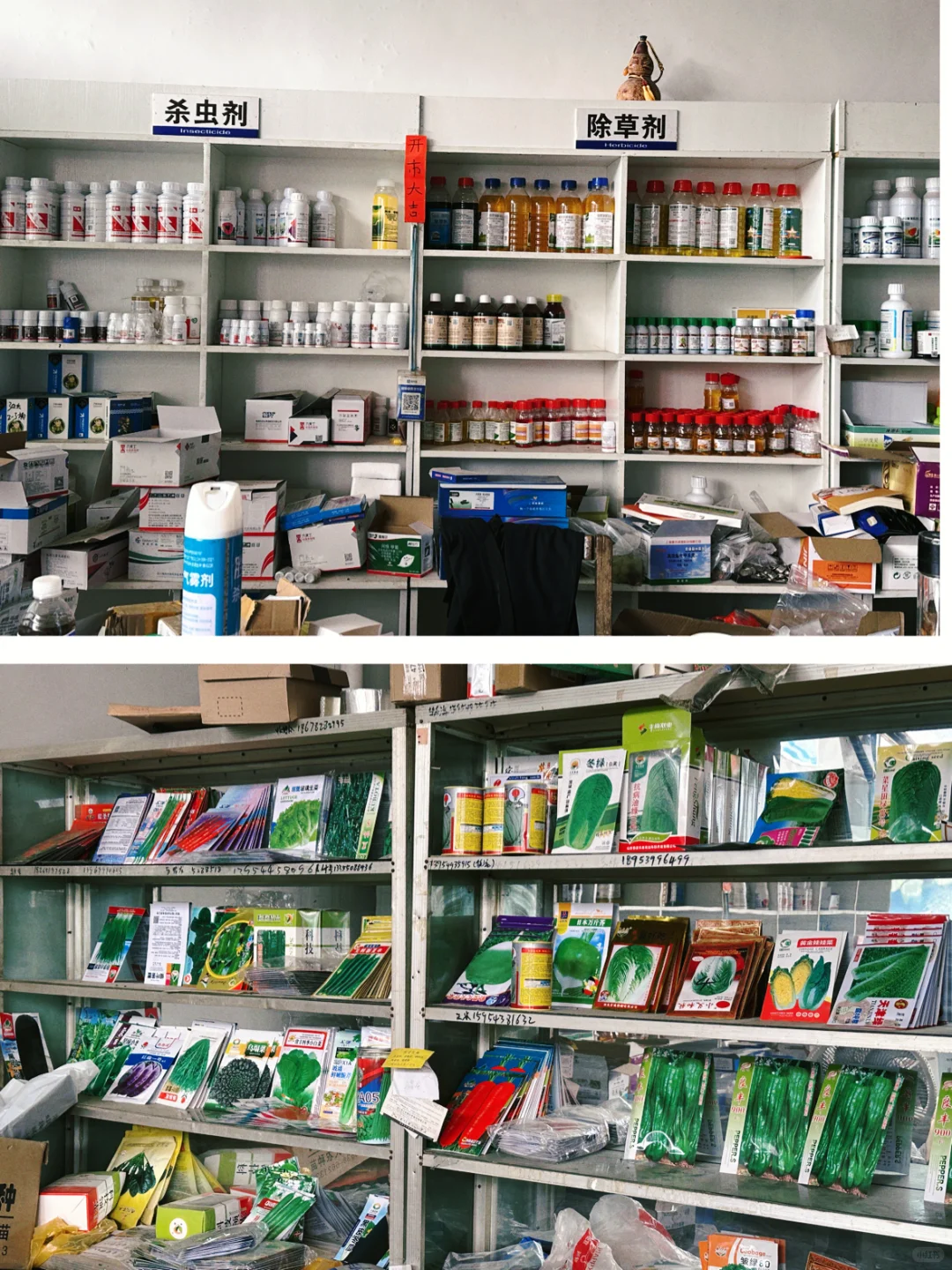 大学生回家卖化肥！勇闯农资赛道！！