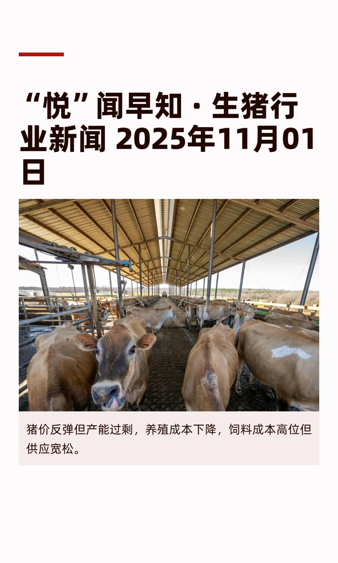 “悦”闻早知 · 生猪行业新闻 2025年11月01日
