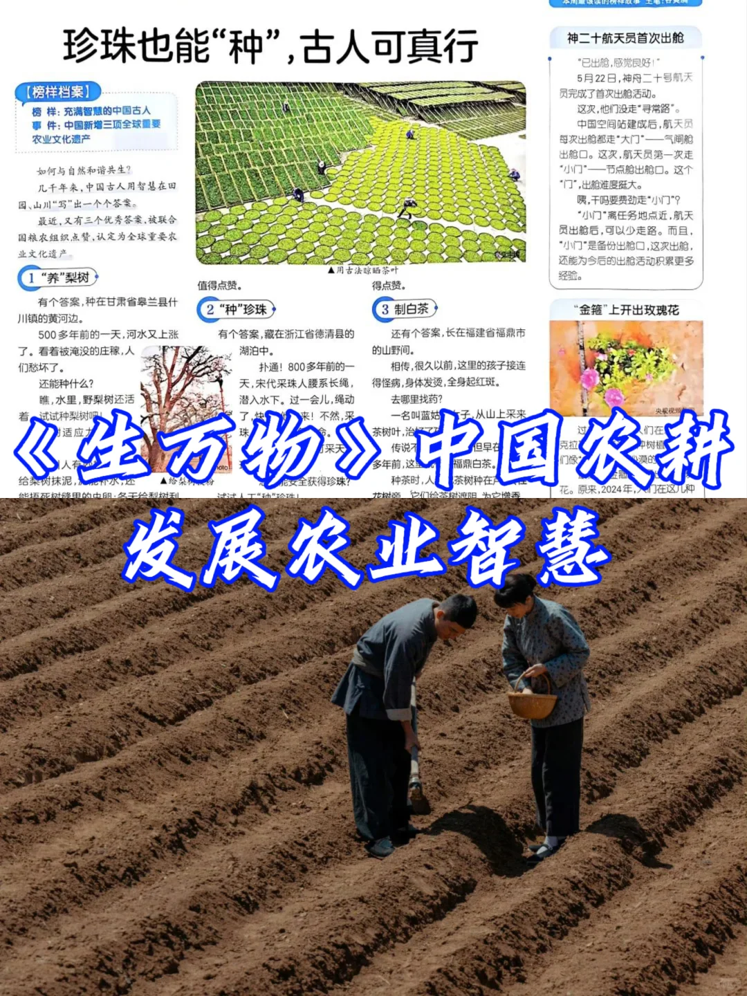 从《生万物》看中国农耕，发展智慧农业！