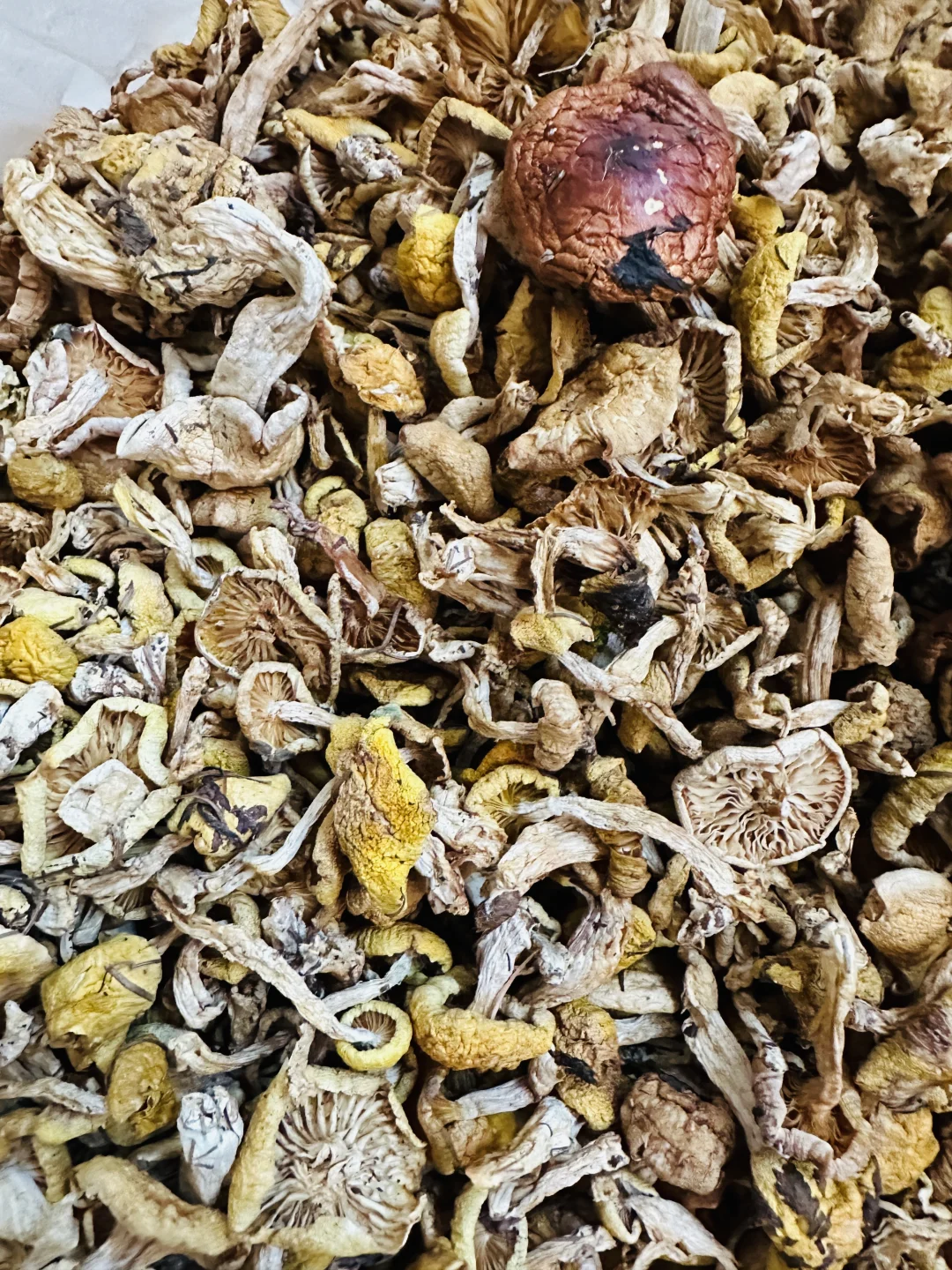 东北婆婆家的绿色食品