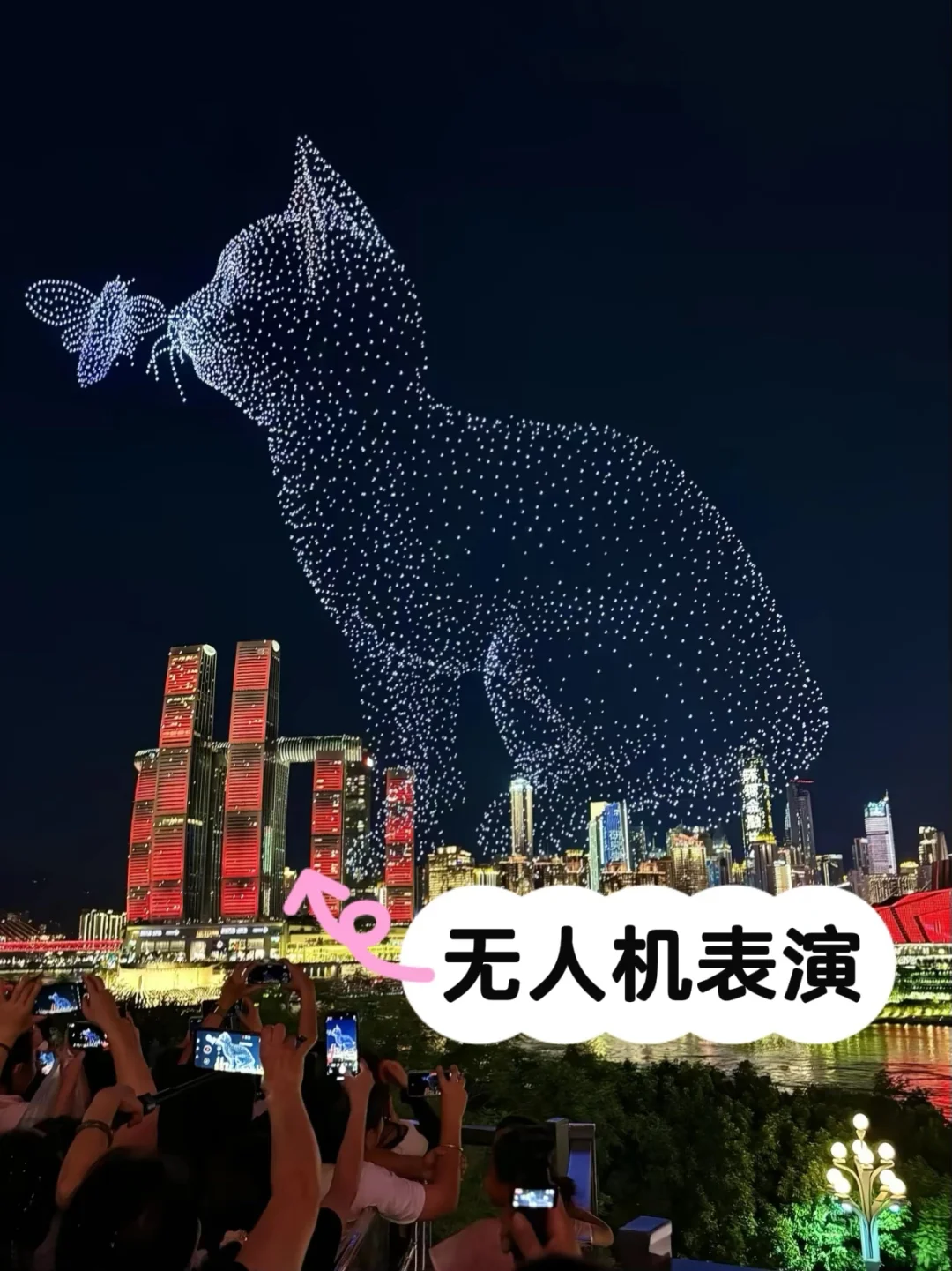 客户反馈！超省心的✈️无人机服务来啦