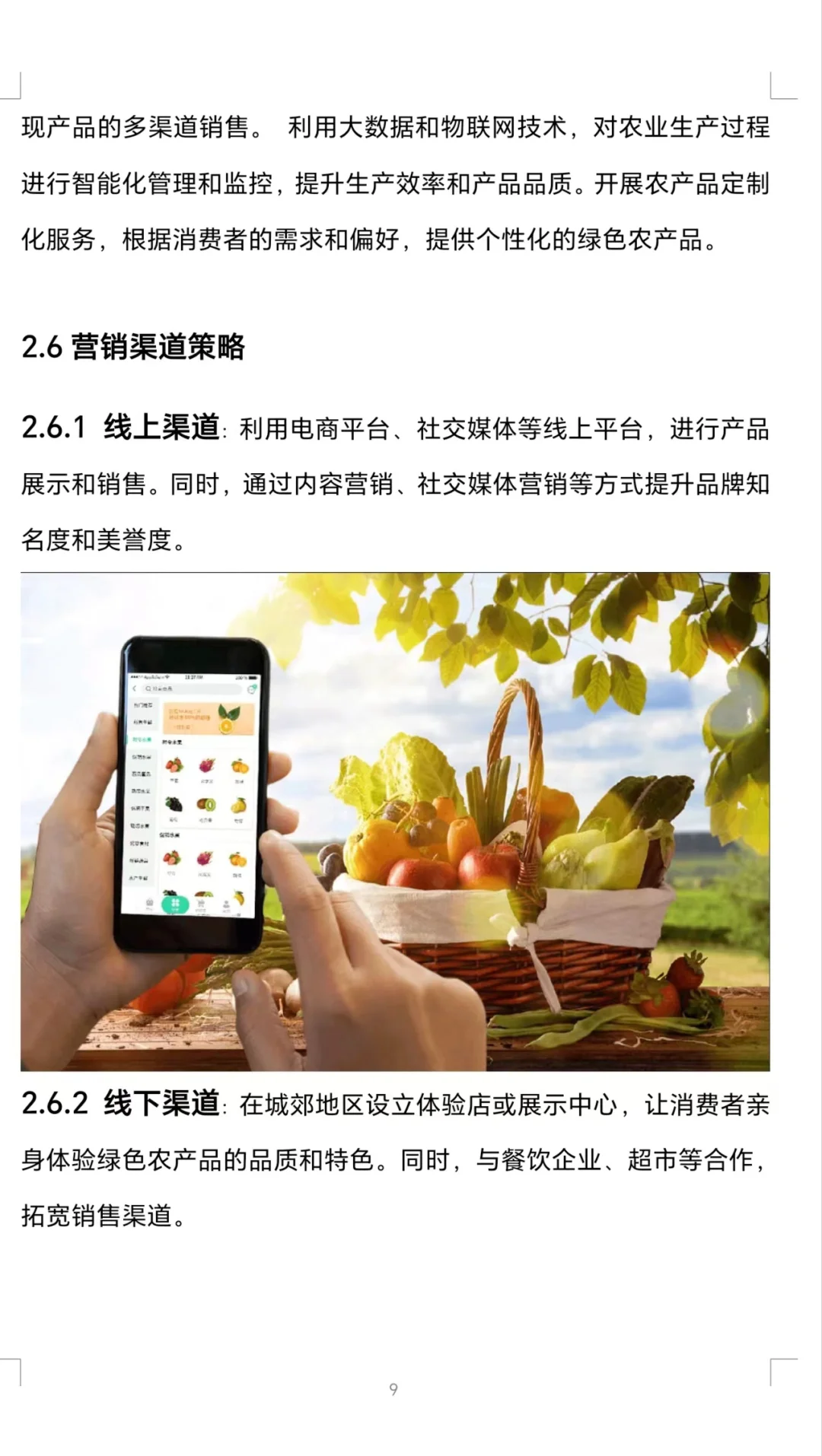 『城郊绿色农业与互联网融合』创业计划书