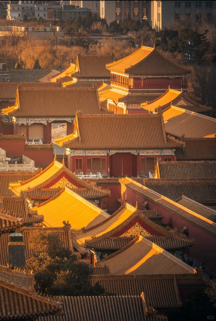 传承与创新：文化遗产保护