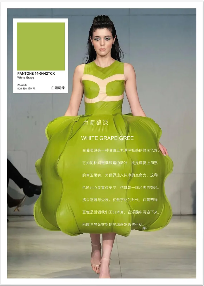 2025年夏季必入!