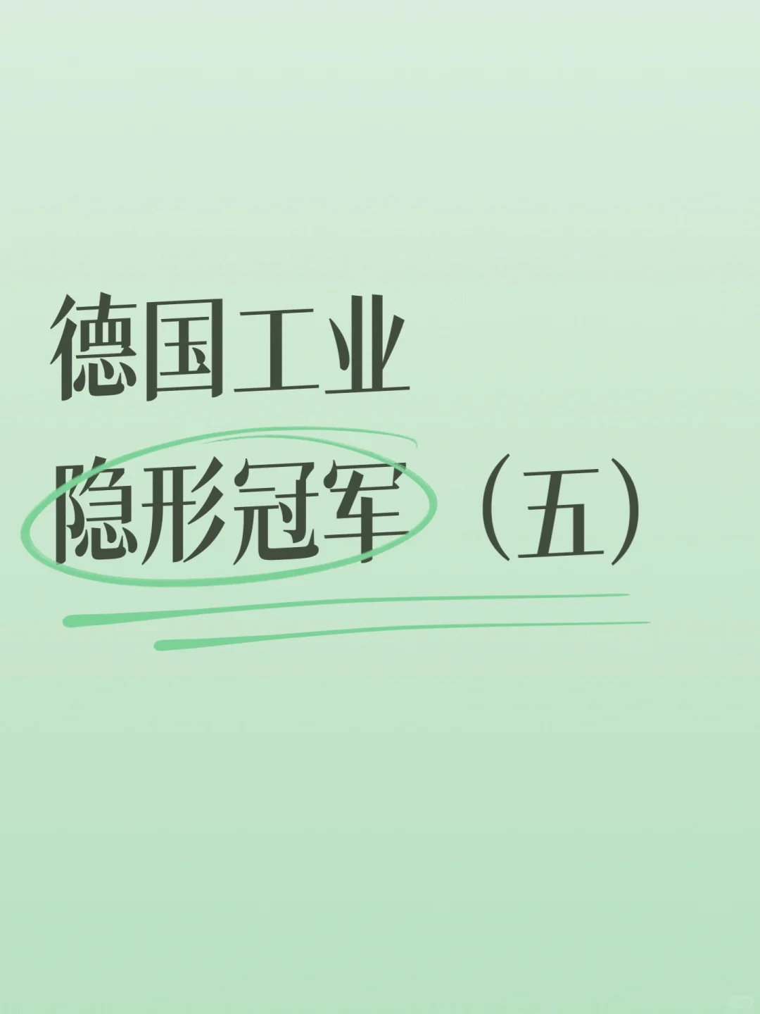 德国工业隐形冠军（五）