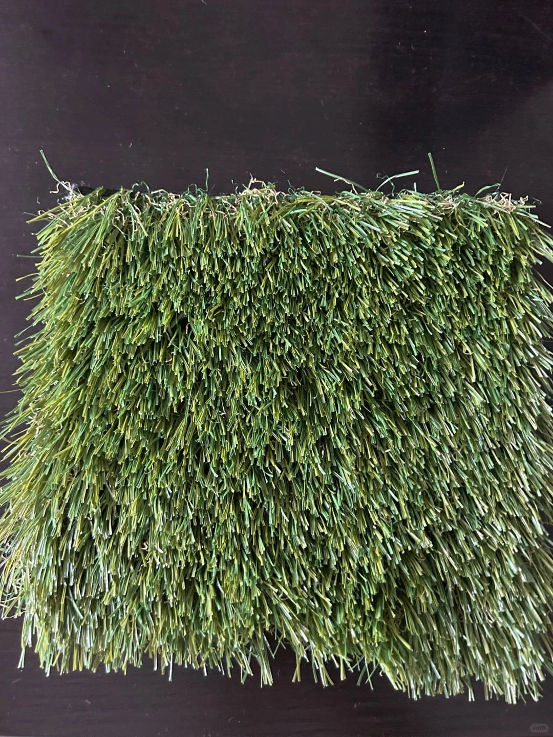 ? 寻找优质人造草坪厂家｜需要一个集装箱?