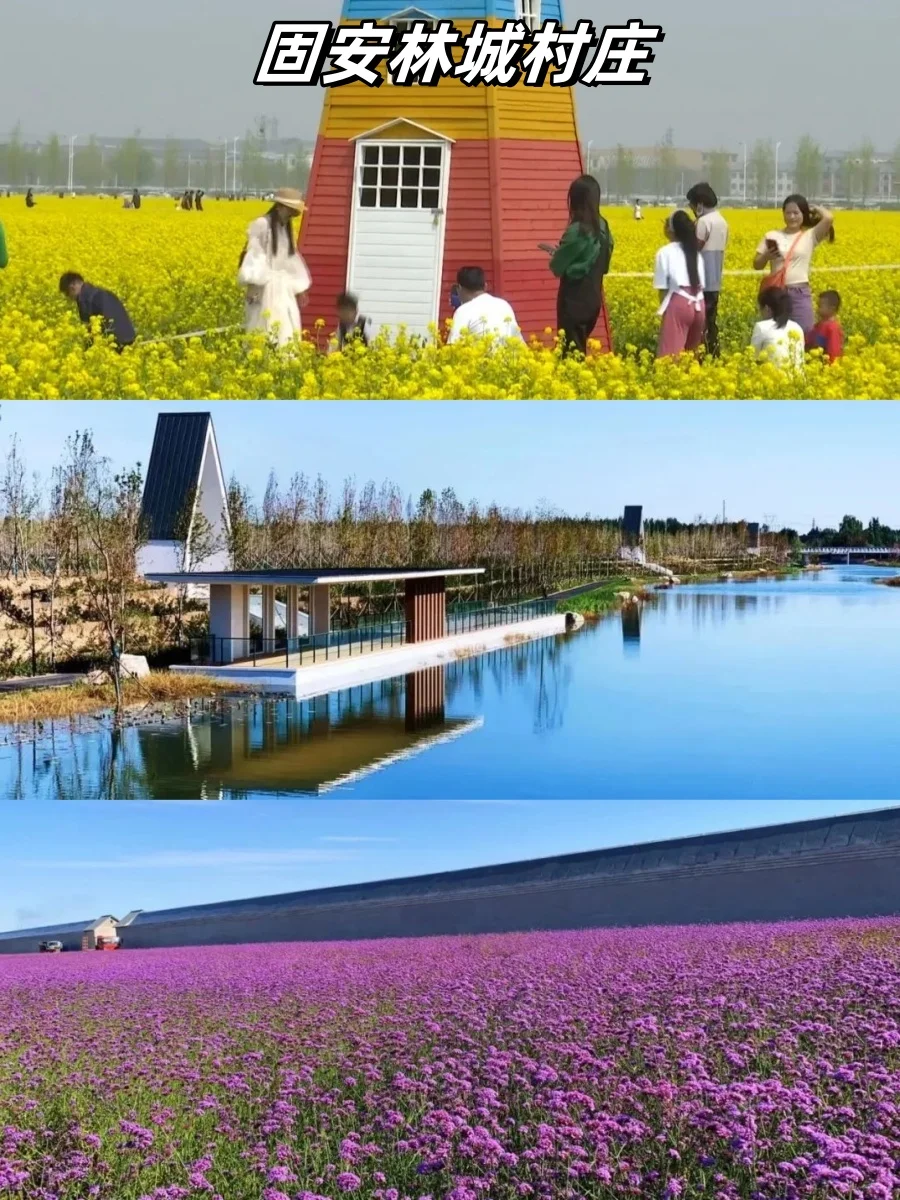 乡村振兴案例 | 河北7种成功模式