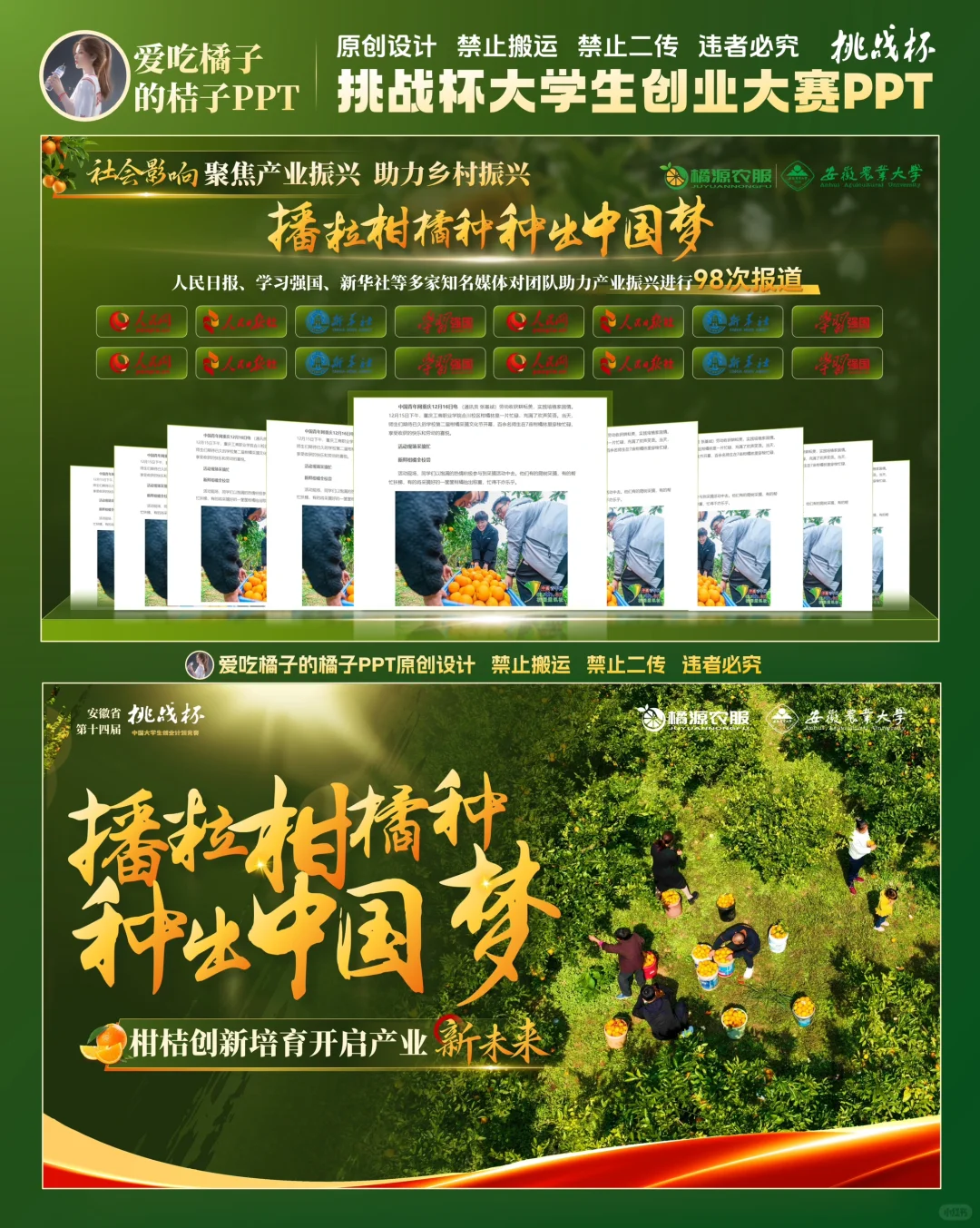 挑战杯柑橘助农乡村振兴PPT设计 助农PPT