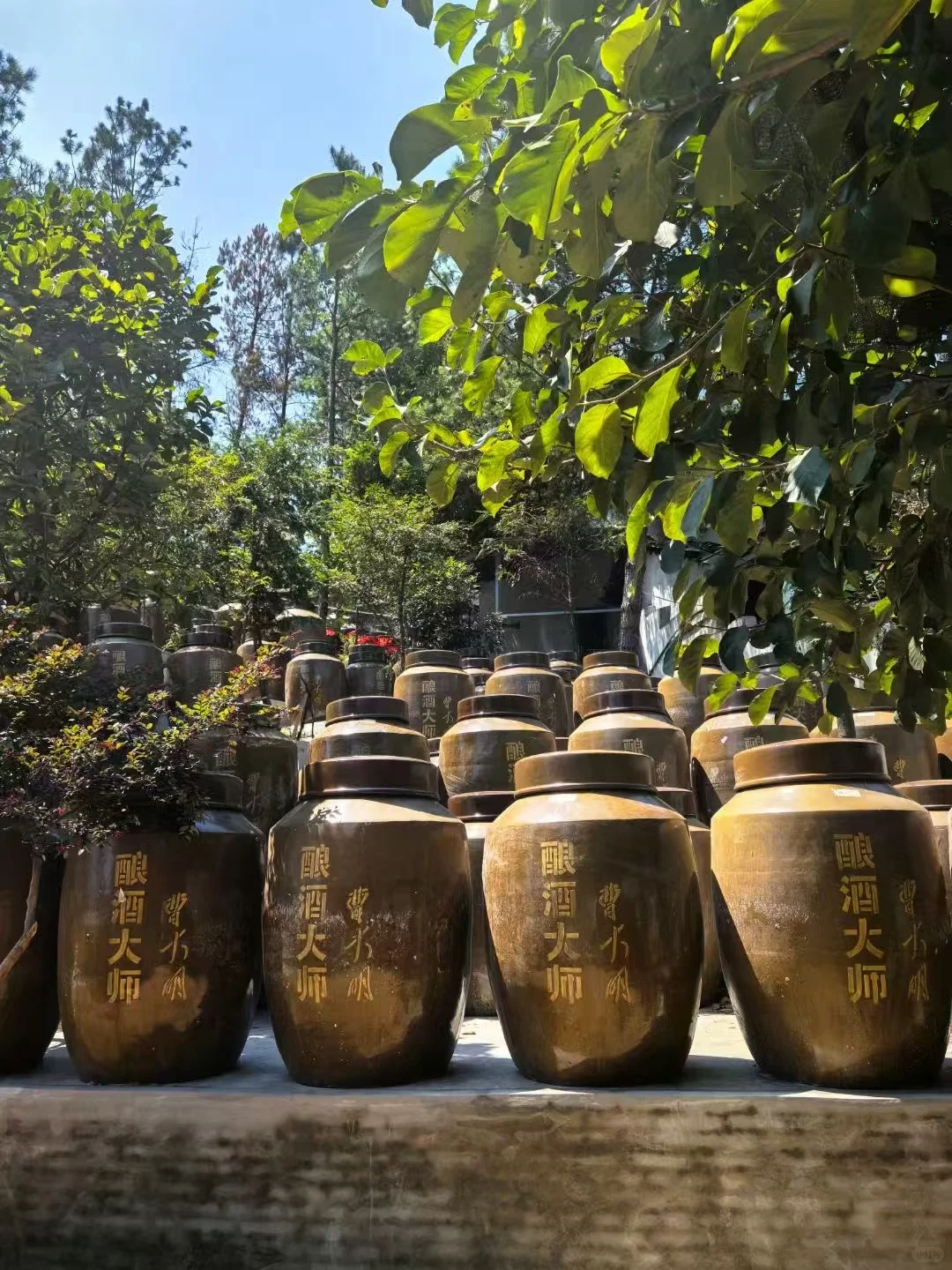 茅台镇的酱酒你真的了解吗？淘酒必看！