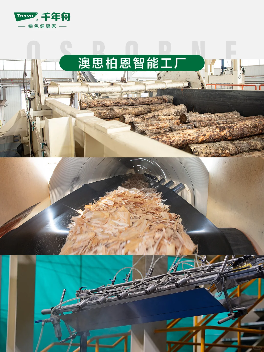 千年舟智能工厂揭秘|422品牌日见证好板诞生