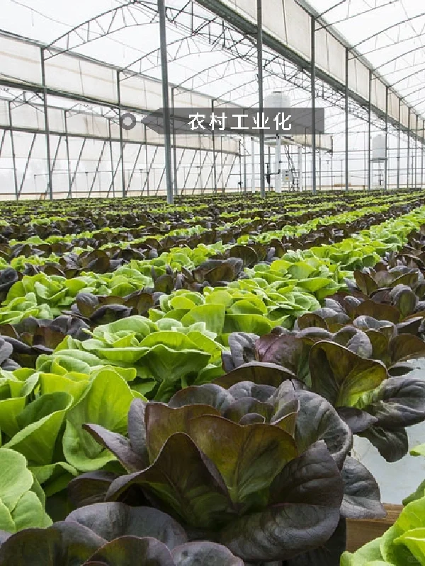 好农庄怎么开5⃣️|共同创建美好未来