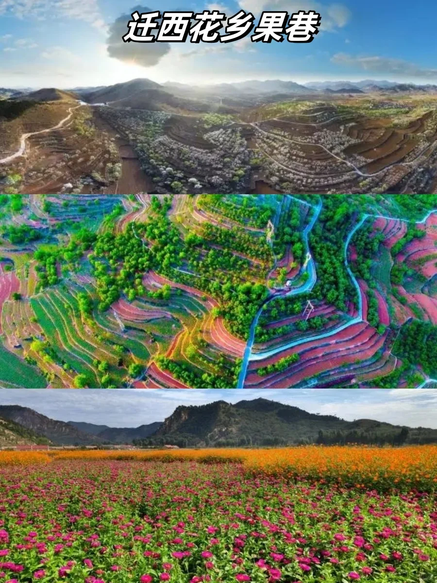 乡村振兴案例 | 河北7种成功模式