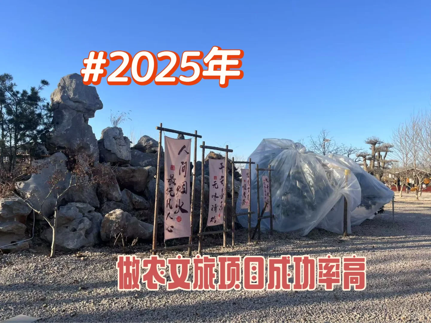 2025年布局做农业项目吧