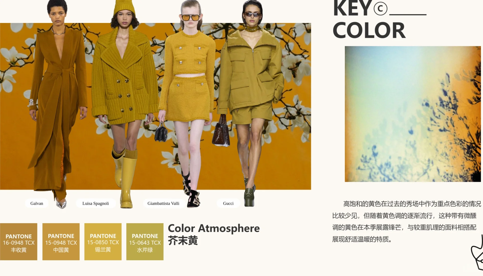 24/25秋冬时装周色彩趋势