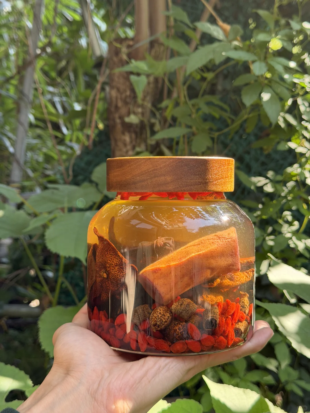 入冬仪式感，为自己泡一坛“三阳暖身酒”