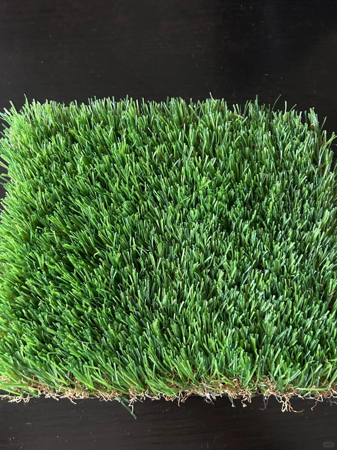 ? 寻找优质人造草坪厂家｜需要一个集装箱?
