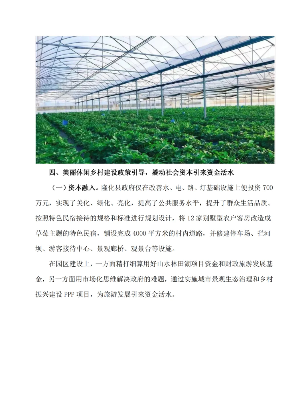 河北隆化的“小草莓大产业”