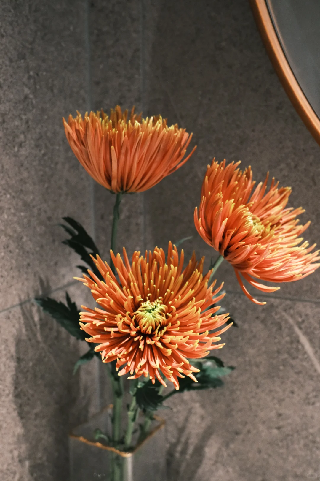 陈厚小红坛，喜庆又大气！