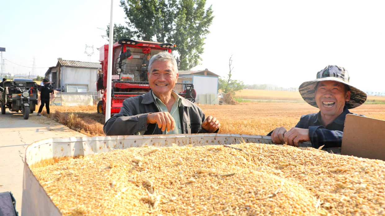 潍柴雷沃为乡村振兴插上“智慧翅膀”