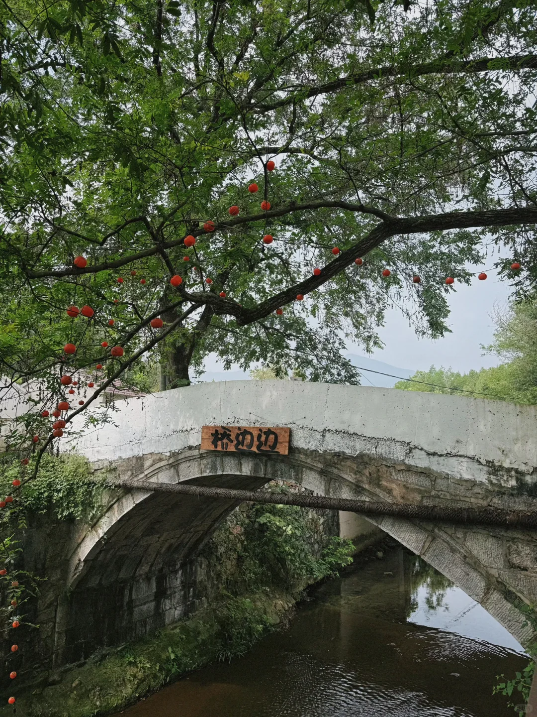 芜湖周边，农村咖啡，超出片