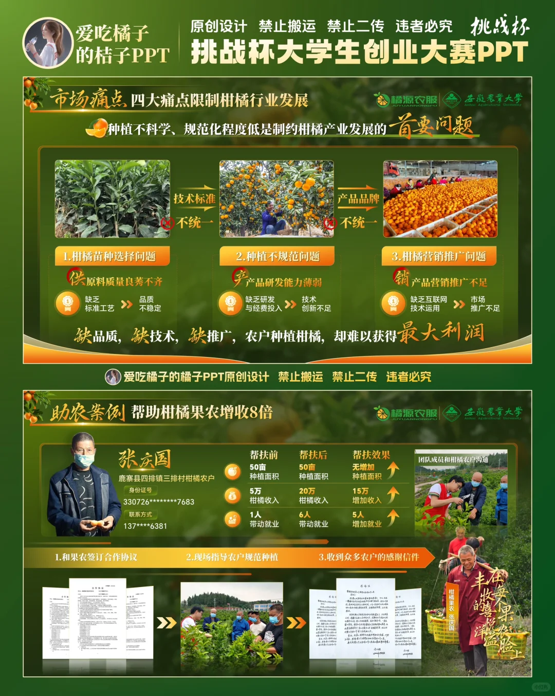 挑战杯柑橘助农乡村振兴PPT设计 助农PPT