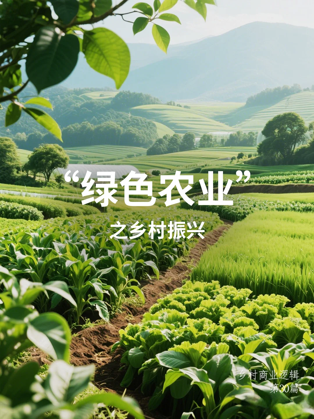 绿色农业，不只是种田，更是乡村的未来之路