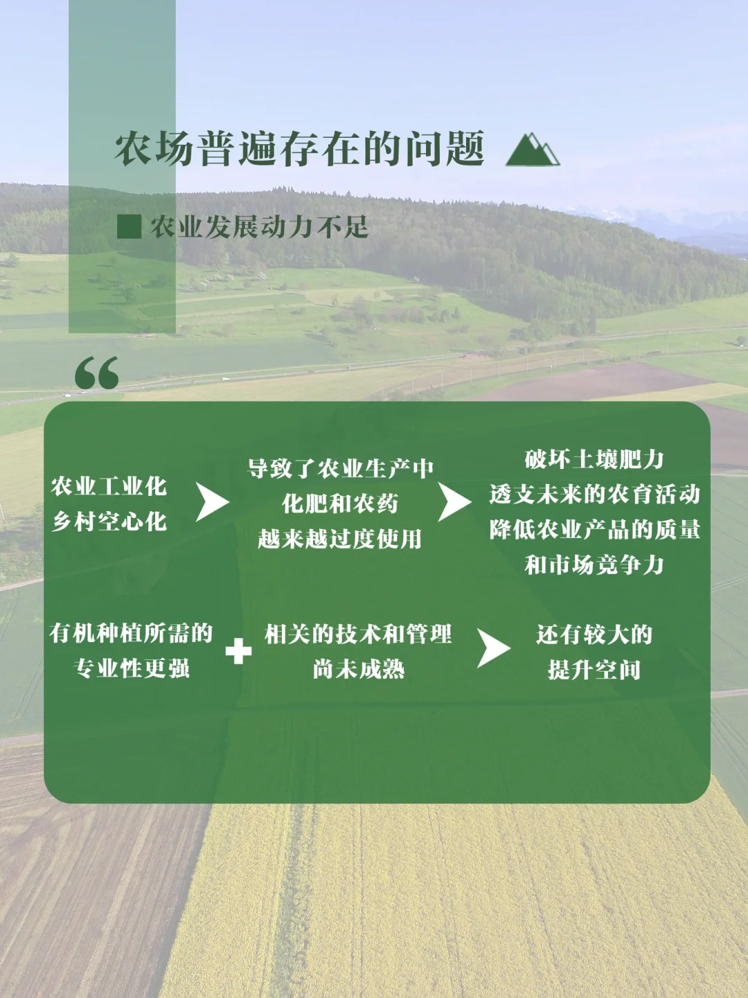 好农庄怎么开5⃣️|共同创建美好未来