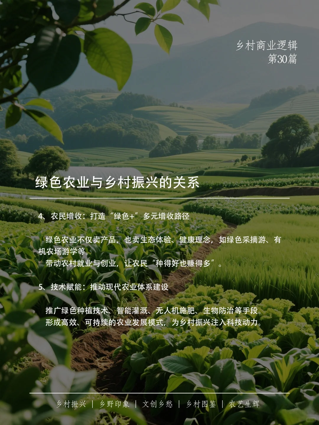 绿色农业，不只是种田，更是乡村的未来之路